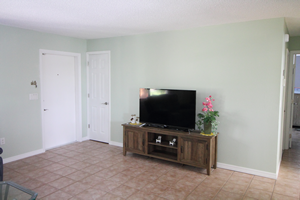 Large LCD TV and entertainment